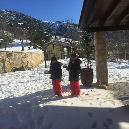 Goutos Alpin 别墅